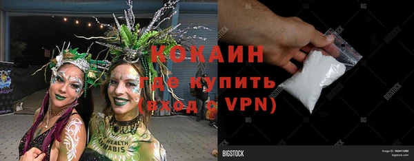 трава Инта