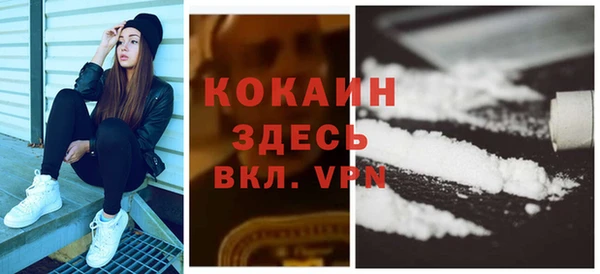 трава Инта