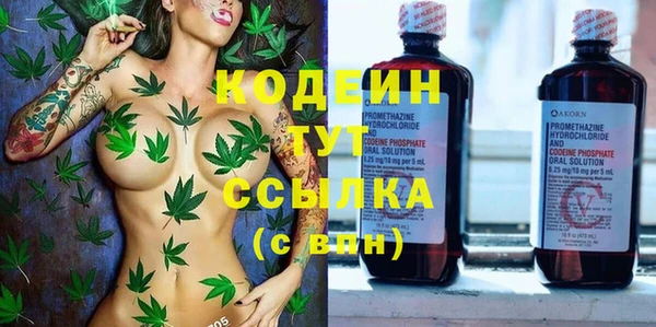стаф Инсар