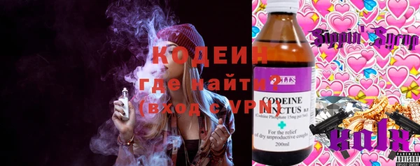 трава Инта