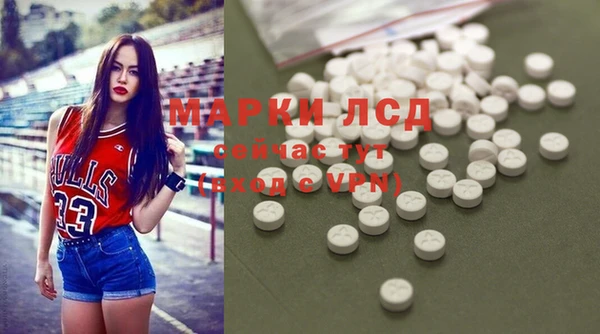 стаф Инсар