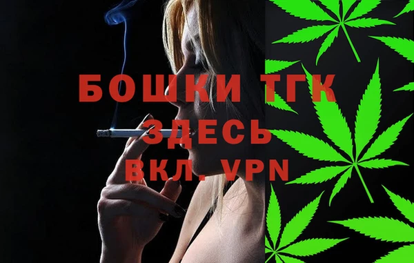 стаф Инсар