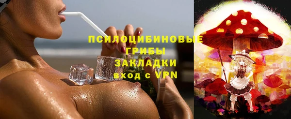 стаф Инсар