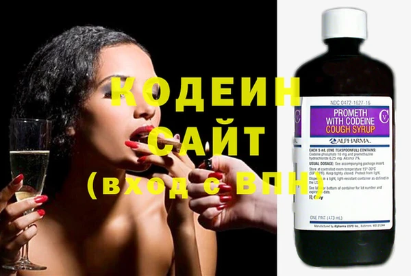 трава Инта