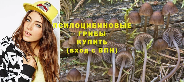 стаф Инсар