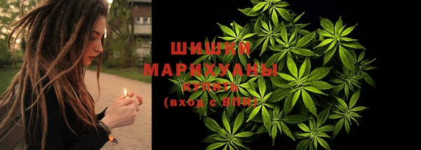 стаф Инсар