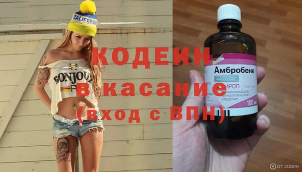 стаф Инсар