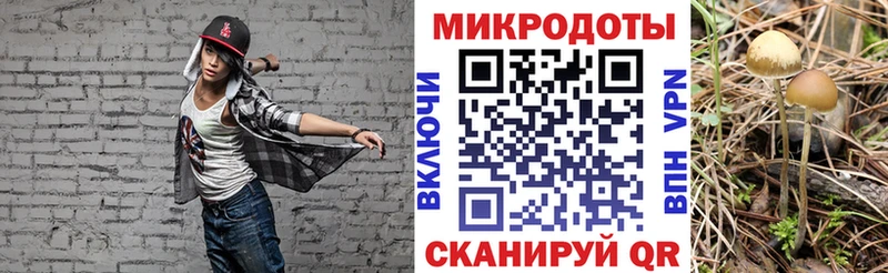 Псилоцибиновые грибы прущие грибы  Купить закладки  Суджа 